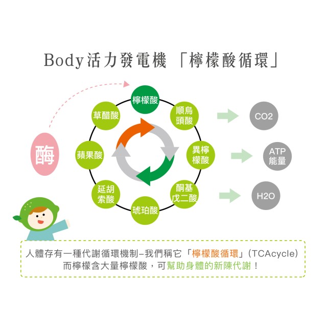 [綠工坊] 萃綠檸檬 果膠代謝酵素 免運 無加糖 750ml/瓶