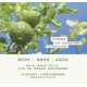 [綠工坊] 萃綠檸檬 果膠代謝酵素 免運 無加糖 750ml/瓶