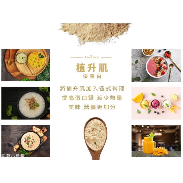 [綠工坊] 綜合蛋白補充飲 植升肌優蛋白 豌豆原味 高纖十榖脆 運動健身 植物蛋白粉 康迪 一畝田 里仁
