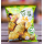 苔哥酥<陽光海苔>35g  + $35 
