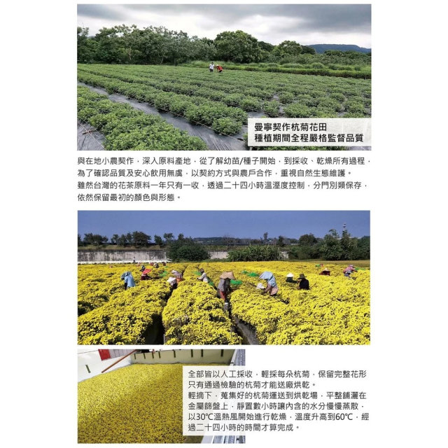[綠工坊]   杭菊茶  杭菊 苗栗銅鑼鄉 通過SGS 農藥檢驗 不使用除草劑  宣洋