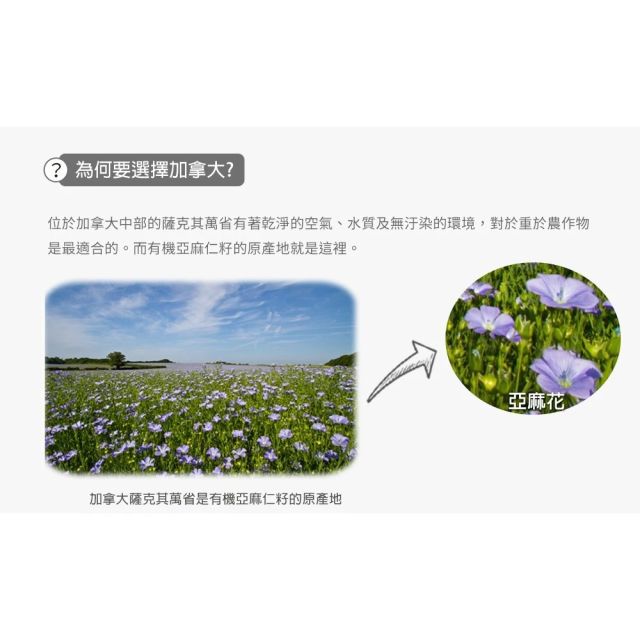 [綠工坊] 有機亞麻仁油 冷壓初榨亞麻仁油 亞麻籽 紫蘇油 生籽初榨冷壓純天然紫蘇油 無焙炒 韓國進口