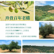 [綠工坊] 社群優惠/門市自取價【買1送1】-蘿蔓利有機冷壓特級100%橄欖油(750ml ) 西班牙原裝原瓶進口