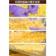 [綠工坊]   乳酪燒 大包 600g 無防腐劑 效期最新 煙燻口味 奶素 祥榮  美味田