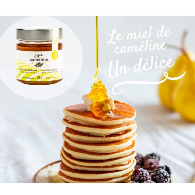 [綠工坊] 天然薺藍花蜂蜜 來自物產豐饒的加拿大 原裝進口 富含 omega3 友善農法