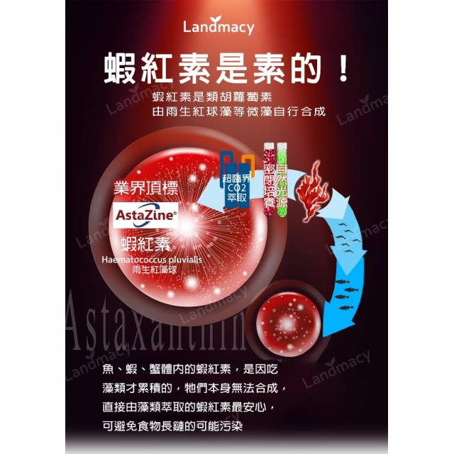 [綠工坊] 靈光藻得到 純淨藻油+沙棘果油+葉黃素+蝦紅素(藻紅素) 純素液態膠囊 裂壺DHA藻油 EPA